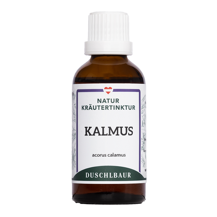 Kalmus Tinktur - acorus calamus
