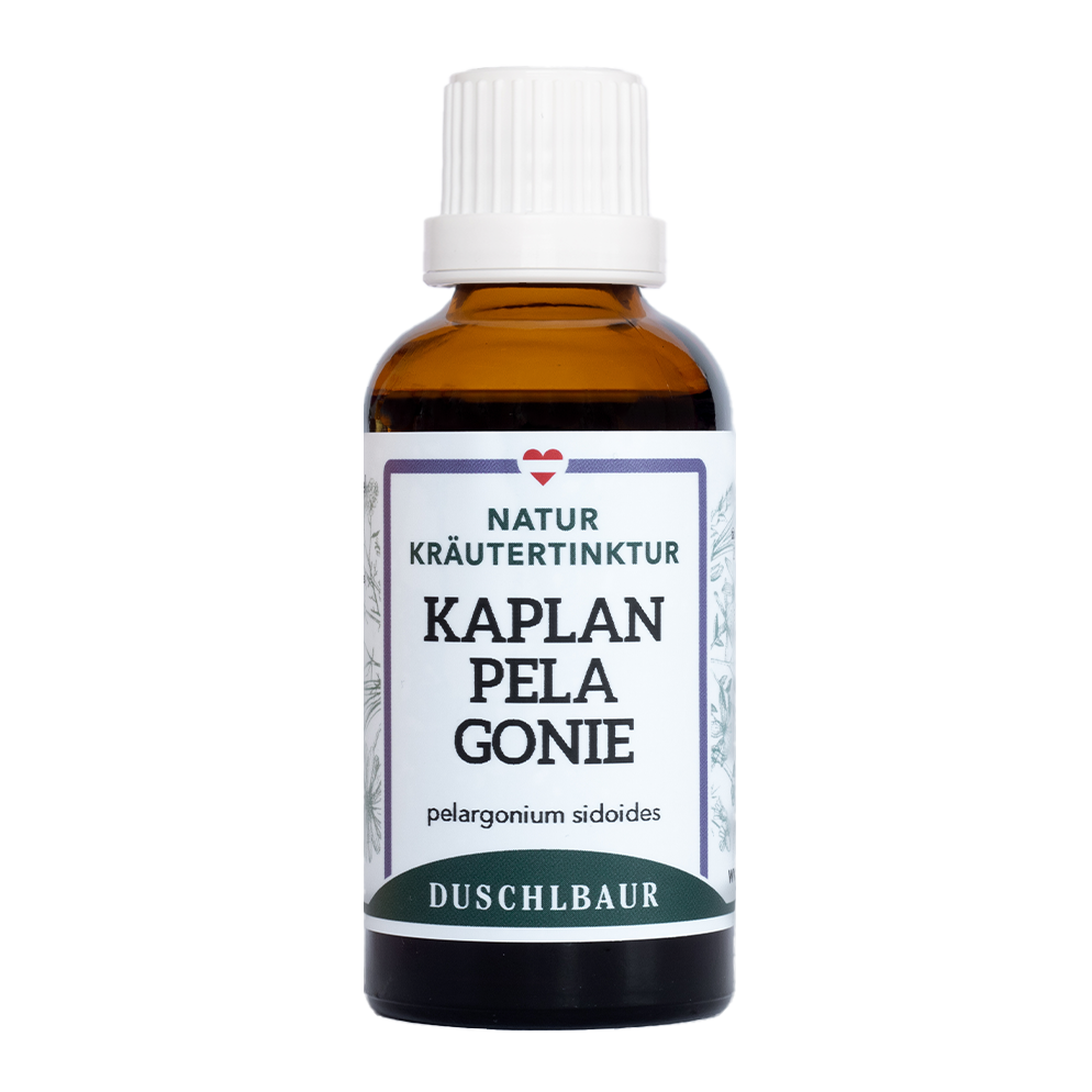 Kapland Pelargonie Tinktur - pelargonium sidoides