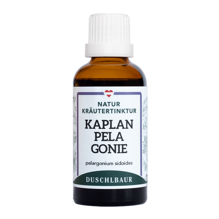 Kapland Pelargonie Tinktur - pelargonium sidoides