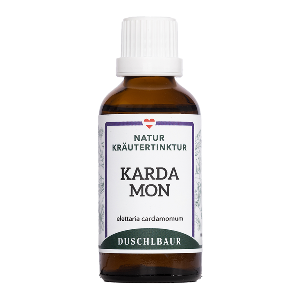 Cardamom tincture - elettaria cardamomum