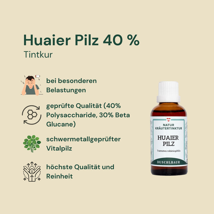 Huaier Pilz Tinktur 40 % Polysaccharide - trametes robiniophila murr
