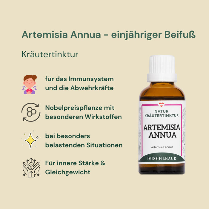 Artemisia annua Tinktur - einjähriger Beifuß Tropfen