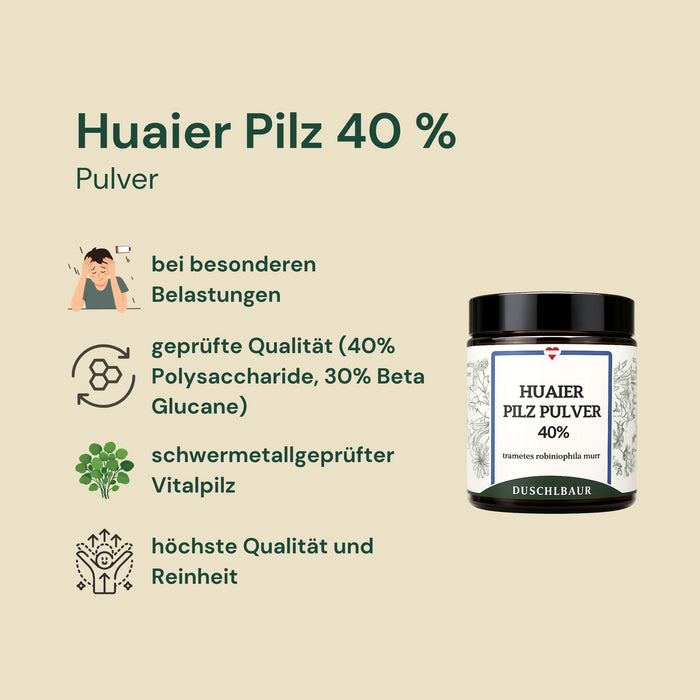 Huaier Pilz Pulver Extrakt 40 % Polysaccharide - trametes robiniophila murr