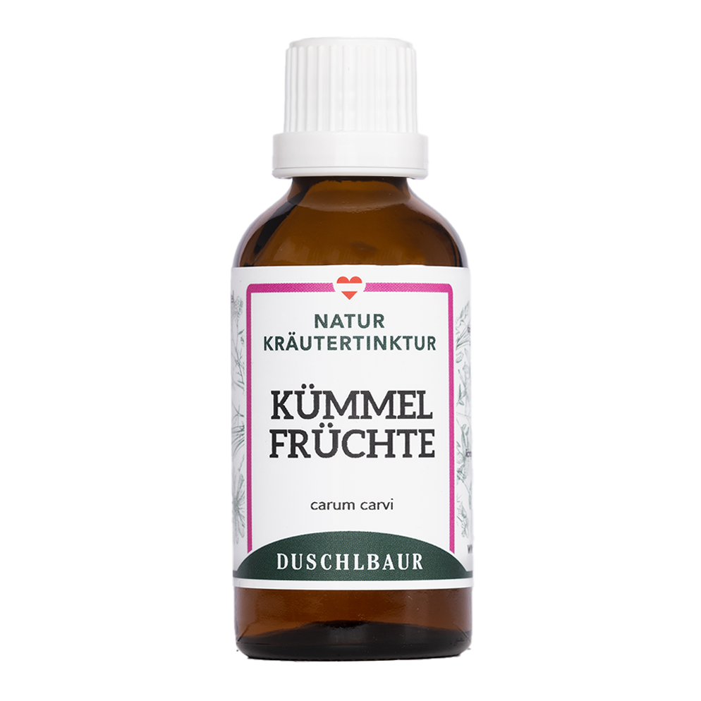 Kümmelfrüchte Tinktur - carum carvi