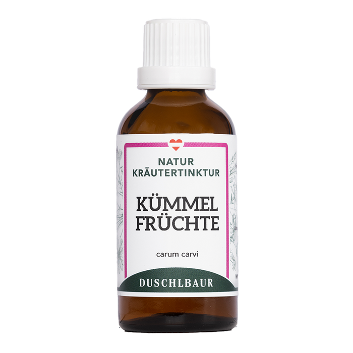 Kümmelfrüchte Tinktur - carum carvi
