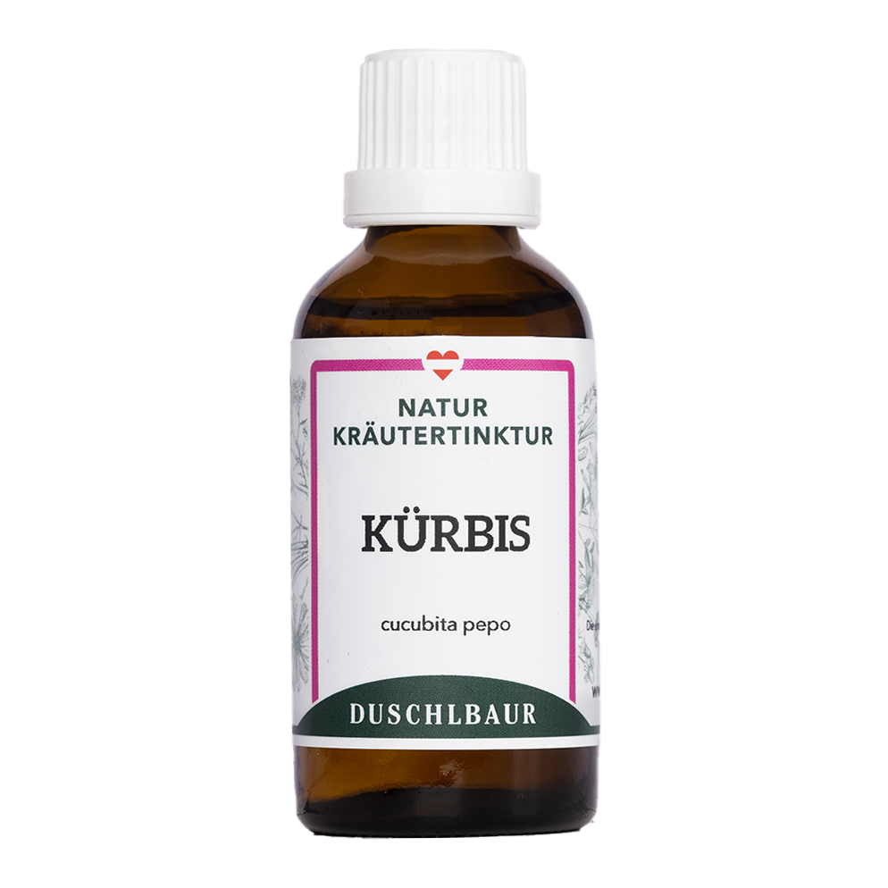 Kürbis Tinktur - cucurbita pepo