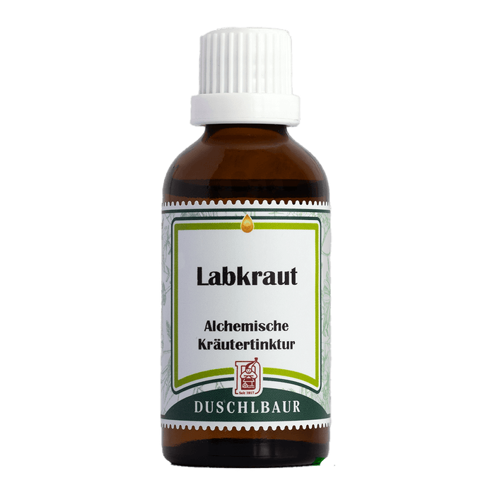 Labkraut echt Tinktur - galium verum