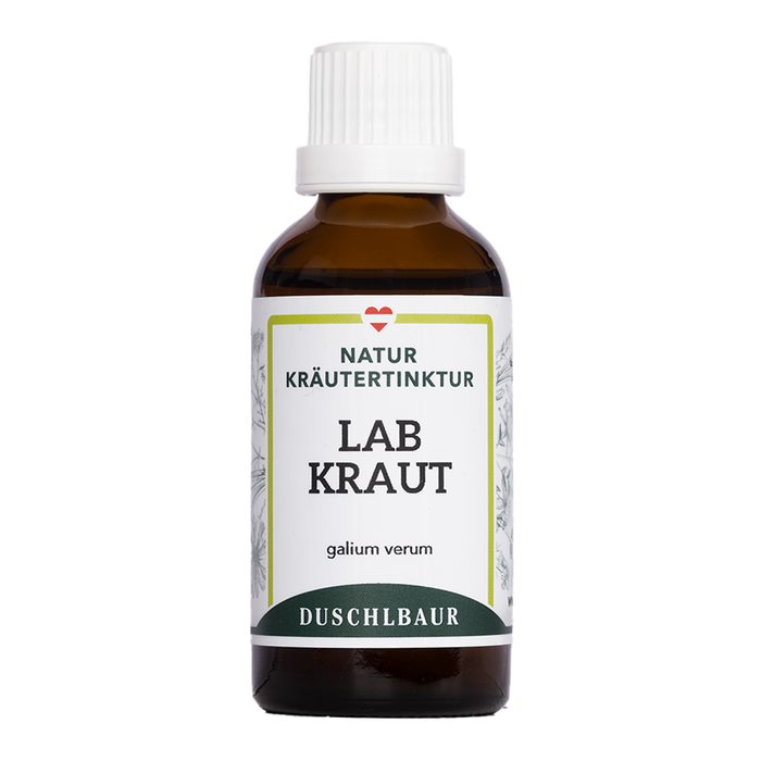 Labkraut echt Tinktur - galium verum