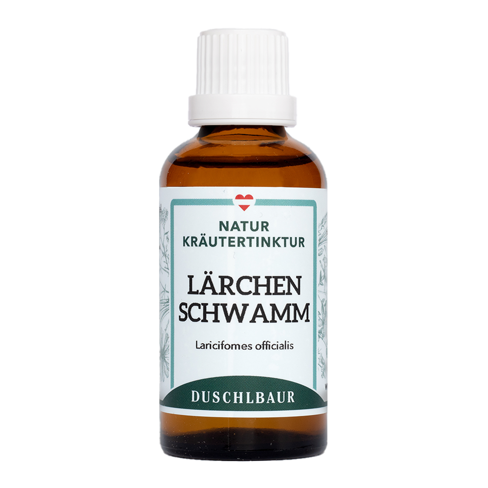 Lärchenschwamm Vitalpilz Tinktur - laricifomes officinalis