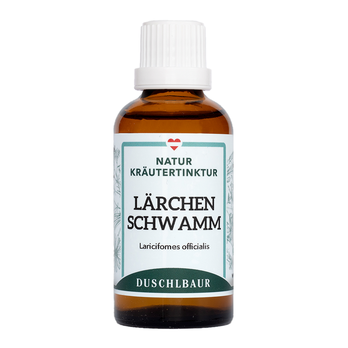 Lärchenschwamm Vitalpilz Tinktur - laricifomes officinalis