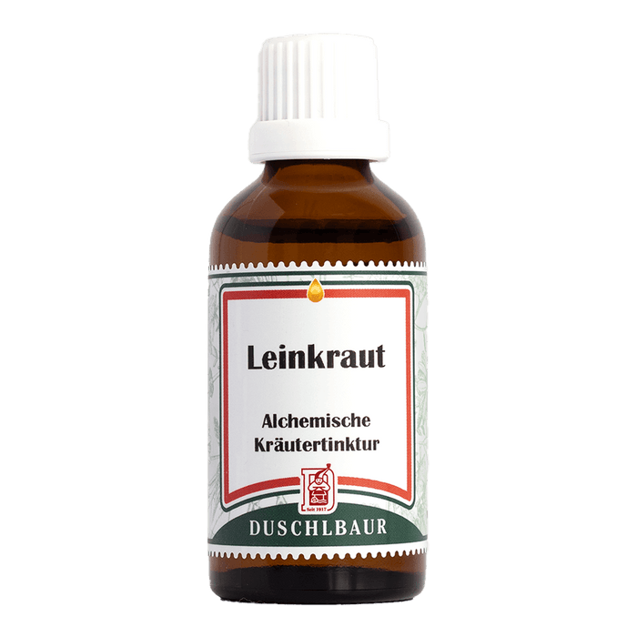 Leinkraut Tinktur - linum usitatissimum