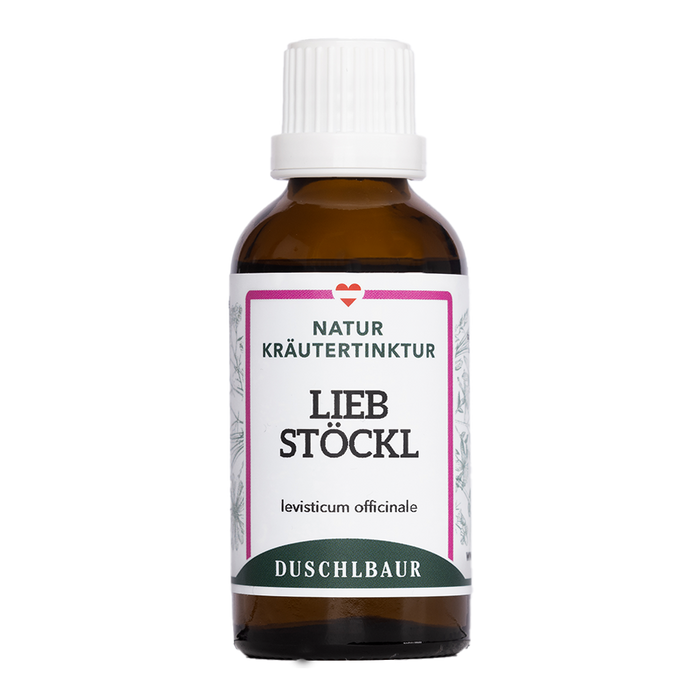Liebstöckl Tinktur - levisticum officinale