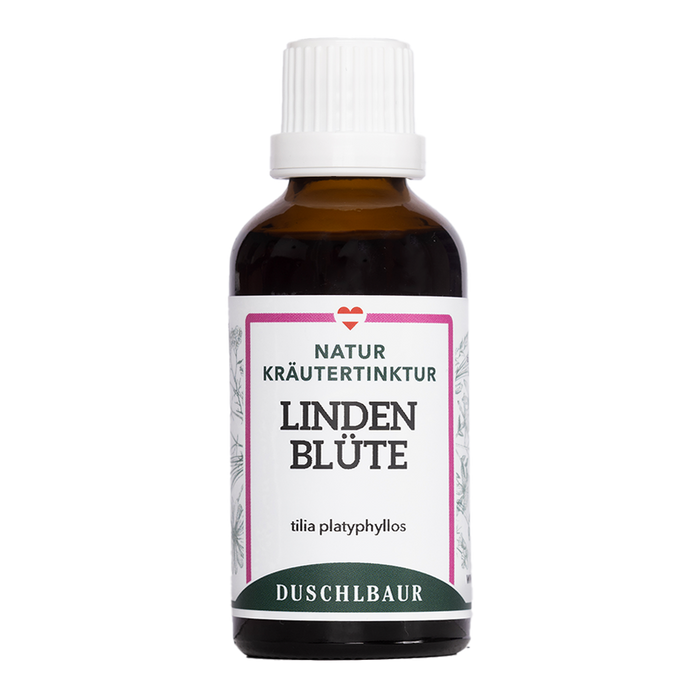 Lindenblüte Tinktur - tilia europaea