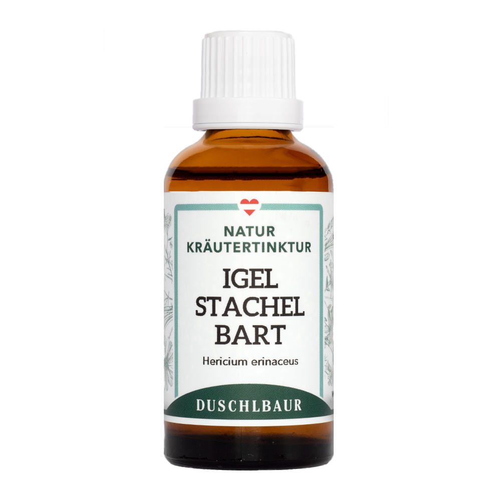 Igelstachelbart Löwenmähne Vitalpilz Tinktur - hericum erinaceus