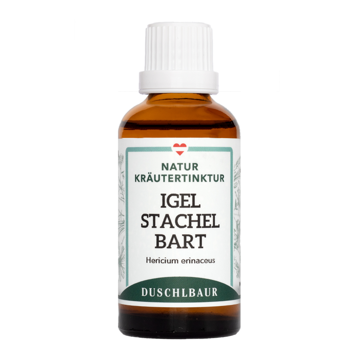 Igelstachelbart Löwenmähne Vitalpilz Tinktur - hericum erinaceus