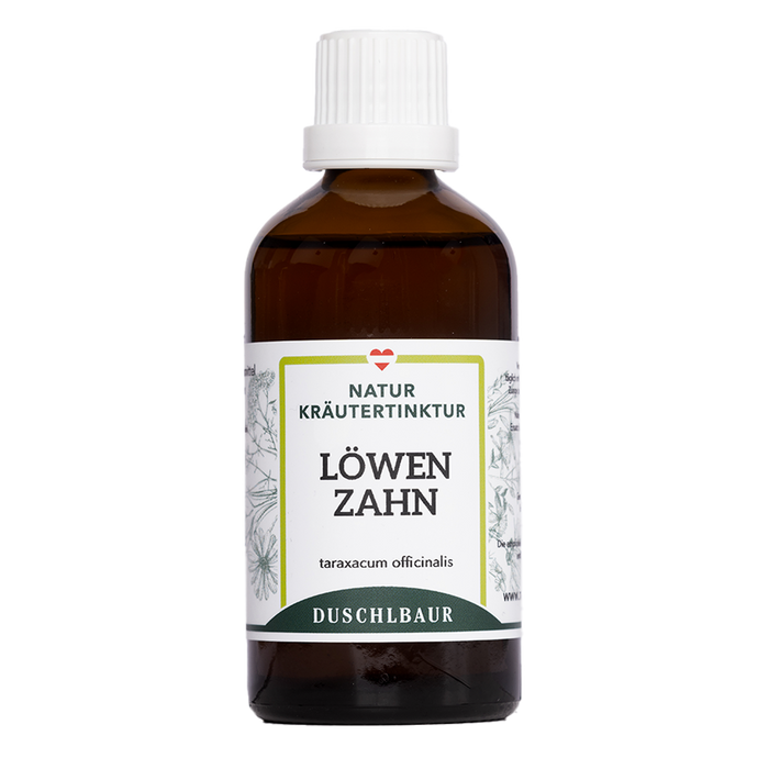 Löwenzahn Tinktur - taraxacum officiale