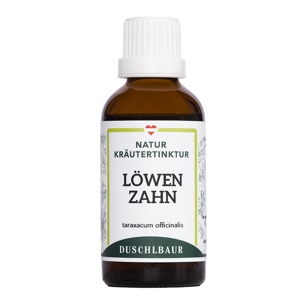 Löwenzahn