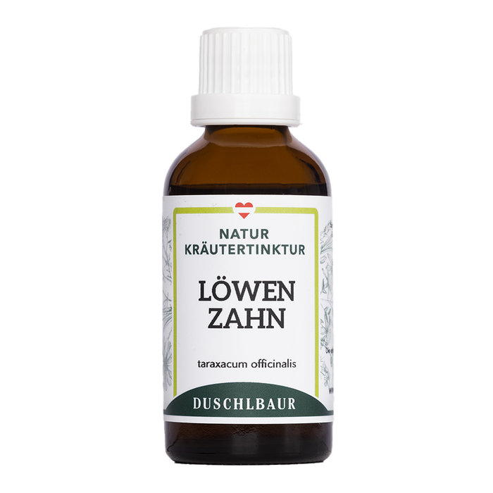 Löwenzahn Tinktur - taraxacum officiale