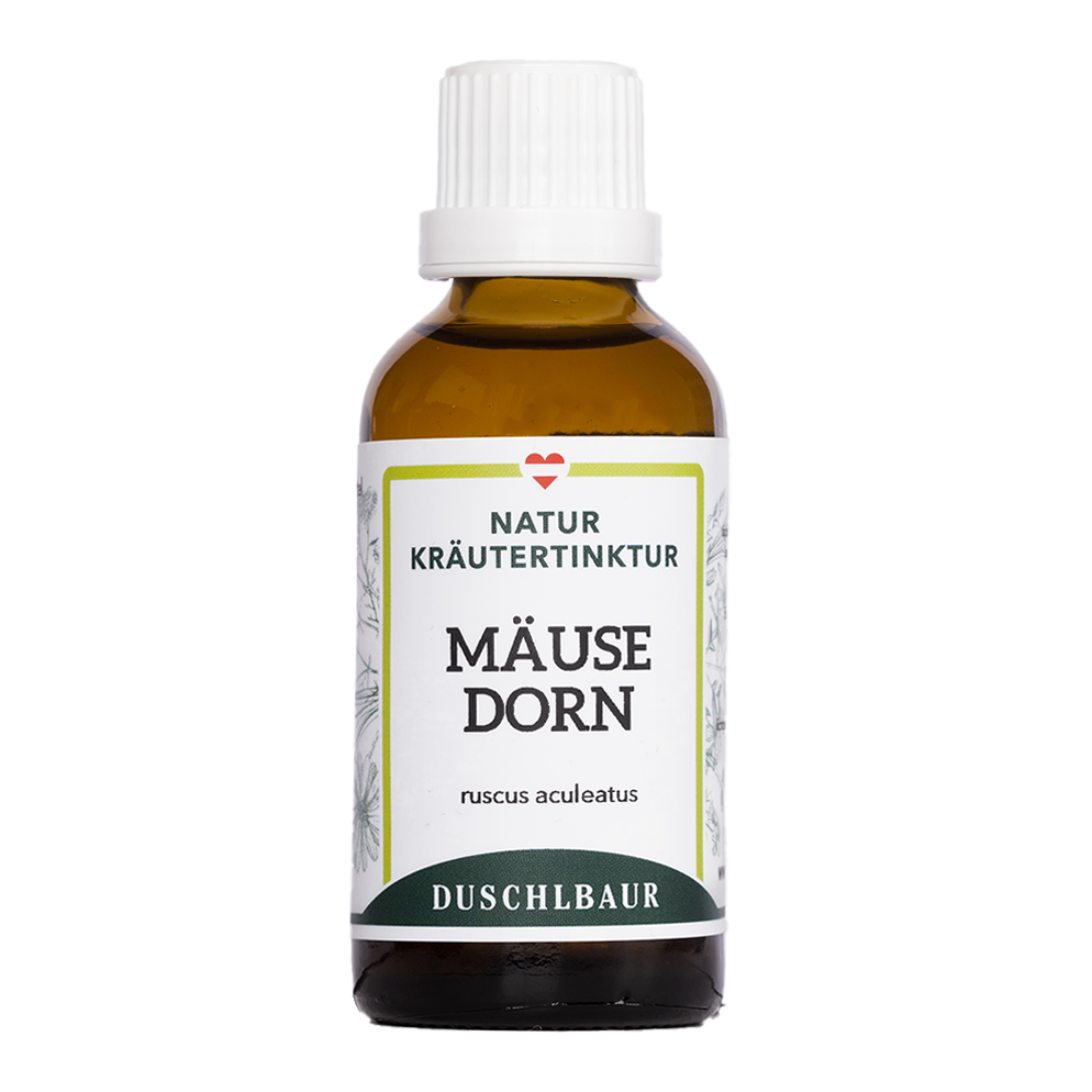 Mäusedorn Tinktur - ruscus aculeatus