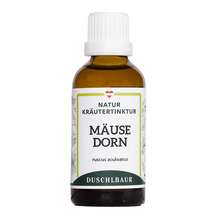 Mäusedorn Tinktur - ruscus aculeatus
