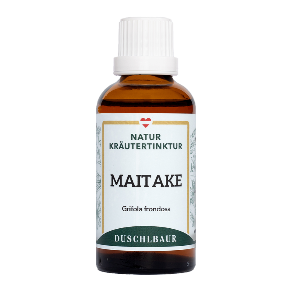 Maitake Vitalpilz Tinktur - grifola frondosa