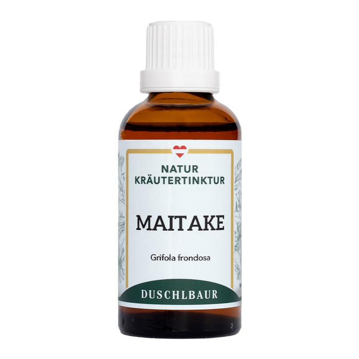 Maitake Vitalpilz Tinktur - grifola frondosa