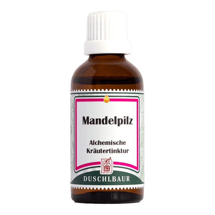 Mandelpilz Tinktur - agaricus subrufescens