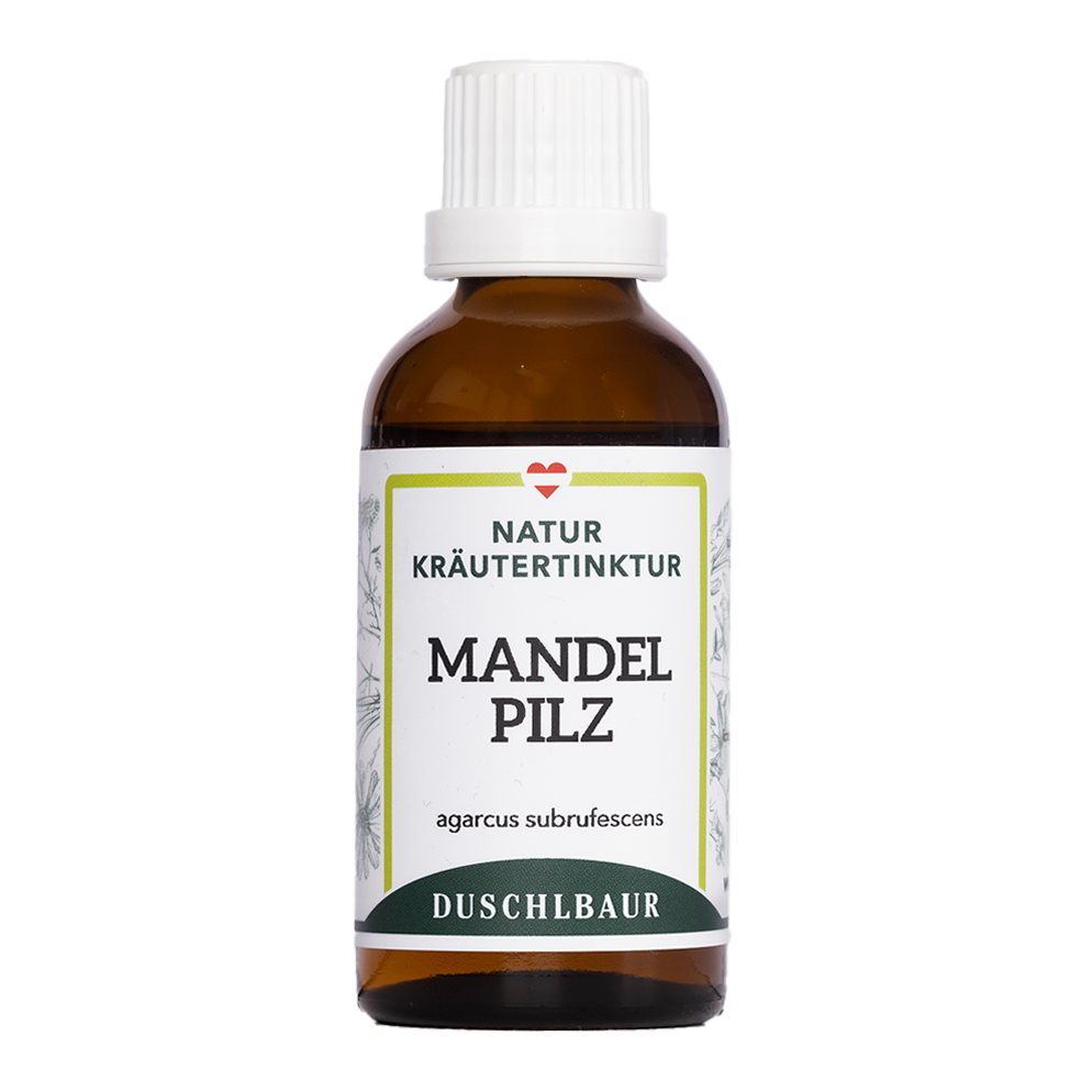 Mandelpilz Agaricus Vitalpilz Tinktur - agaricus subrufescens