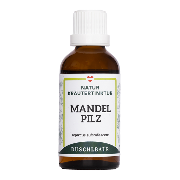 Mandelpilz Tinktur - agaricus subrufescens