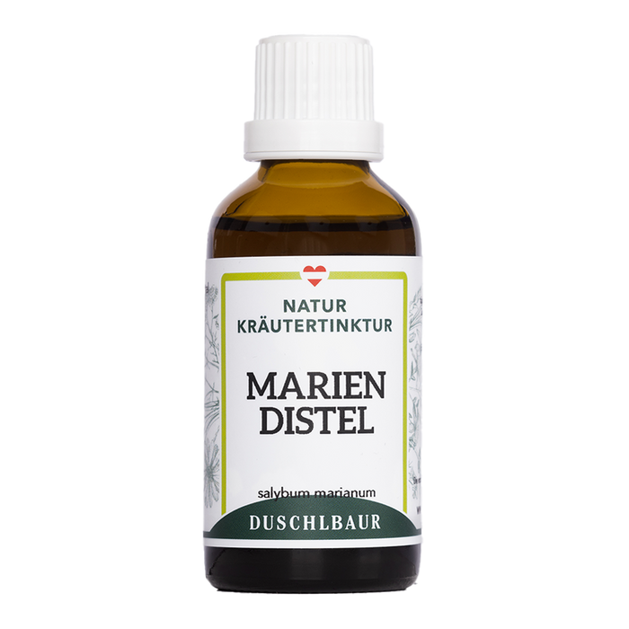Mariendistel Tinktur - silybum marianum