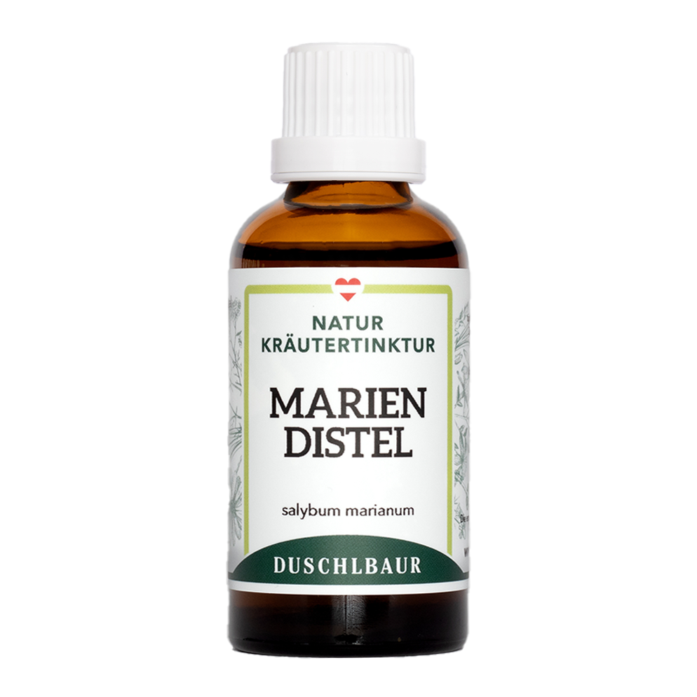 Mariendistel Tinktur - silybum marianum