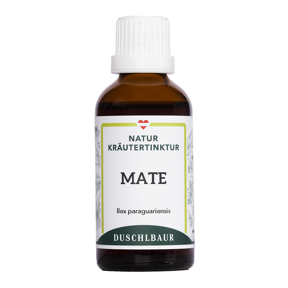 Mate tincture - ilex paraguariensis