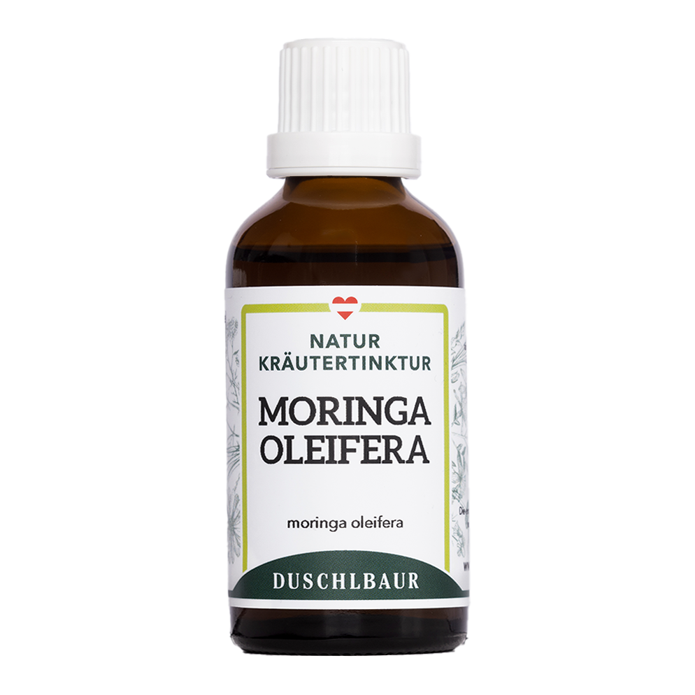 Moringa oleifera tincture - moringa oleifera