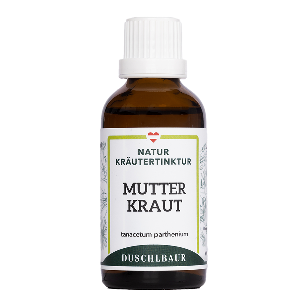 Mutterkraut Tinktur - tanacetum parthenium