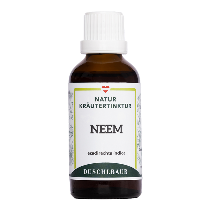 Neem Tinktur - azadirachta indica