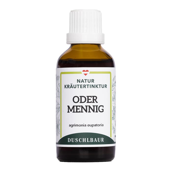Odermenig Tinktur - agrimonia eupatoria