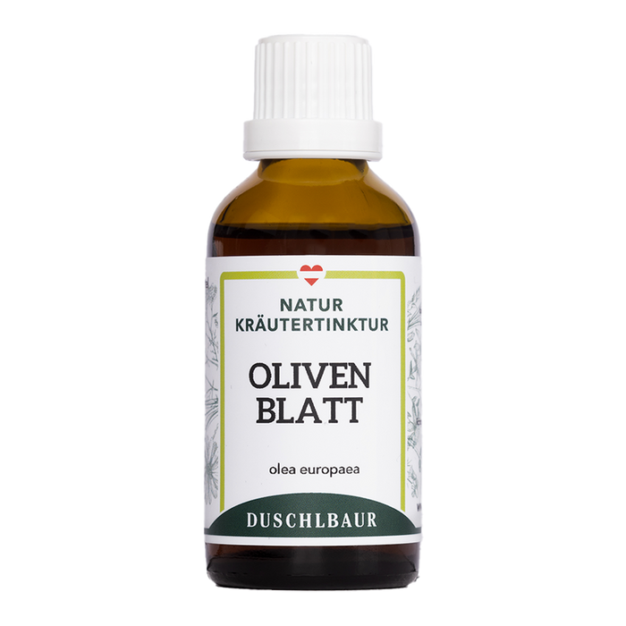 Olivenblatt Tinktur - olea europaea