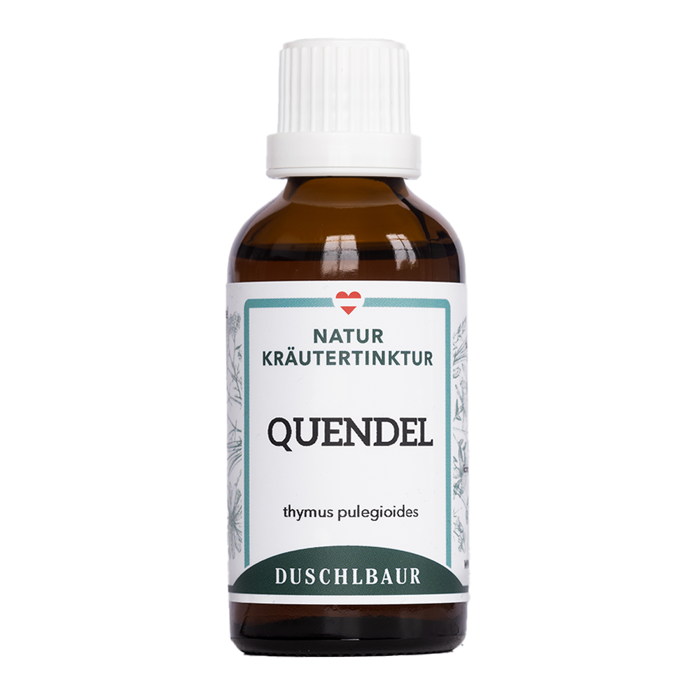Quendel Tinktur - thymus pulegioides