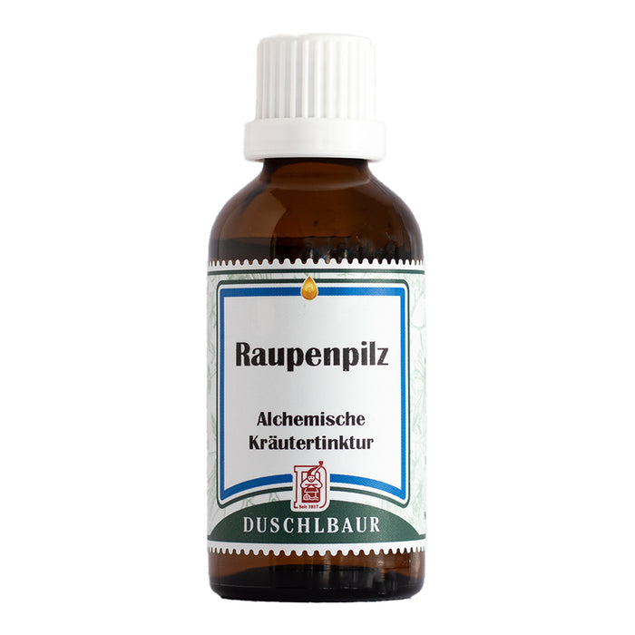 raupenpilt tinktur auszug