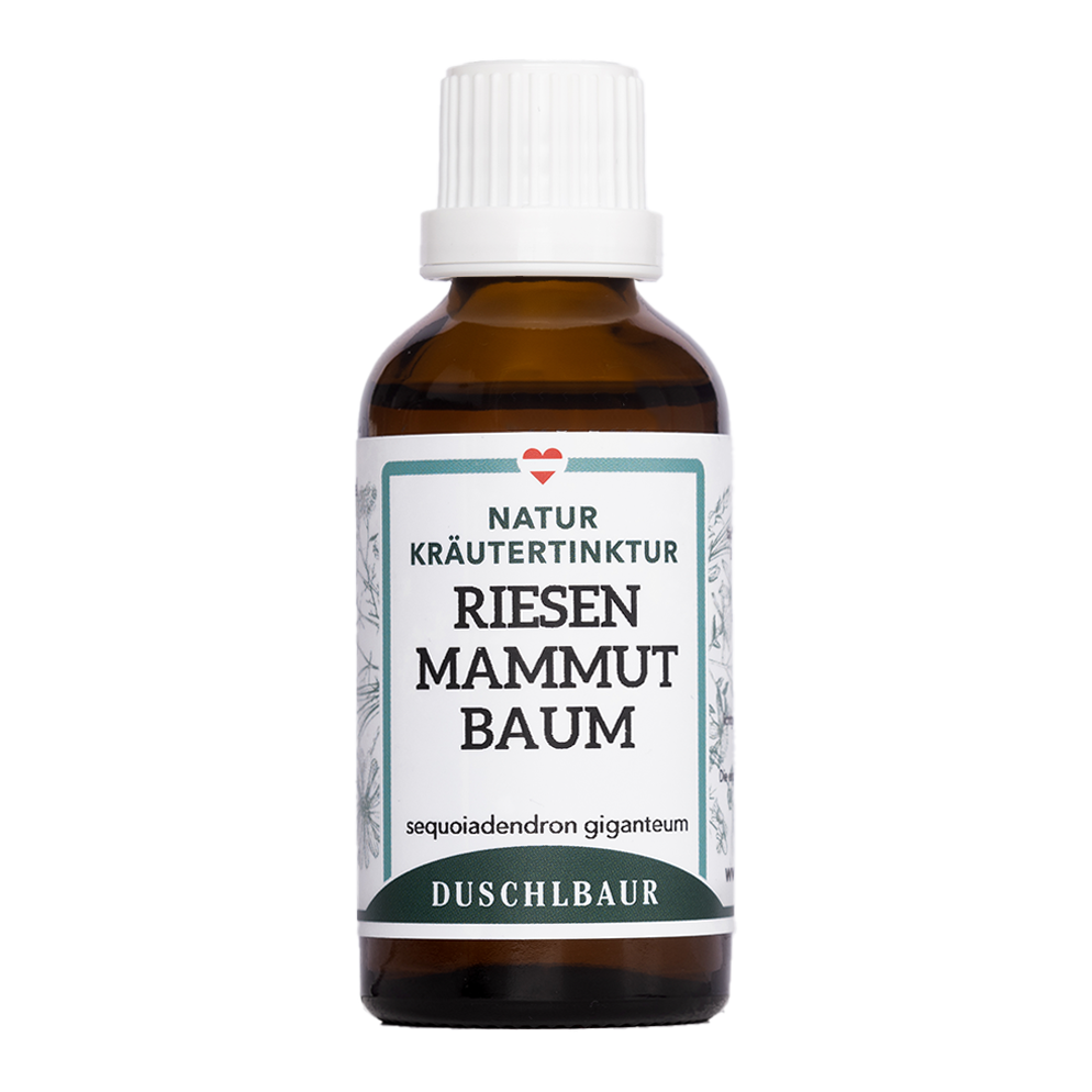 Riesenmammutbaum Tinktur - sequoiadendron giganteum