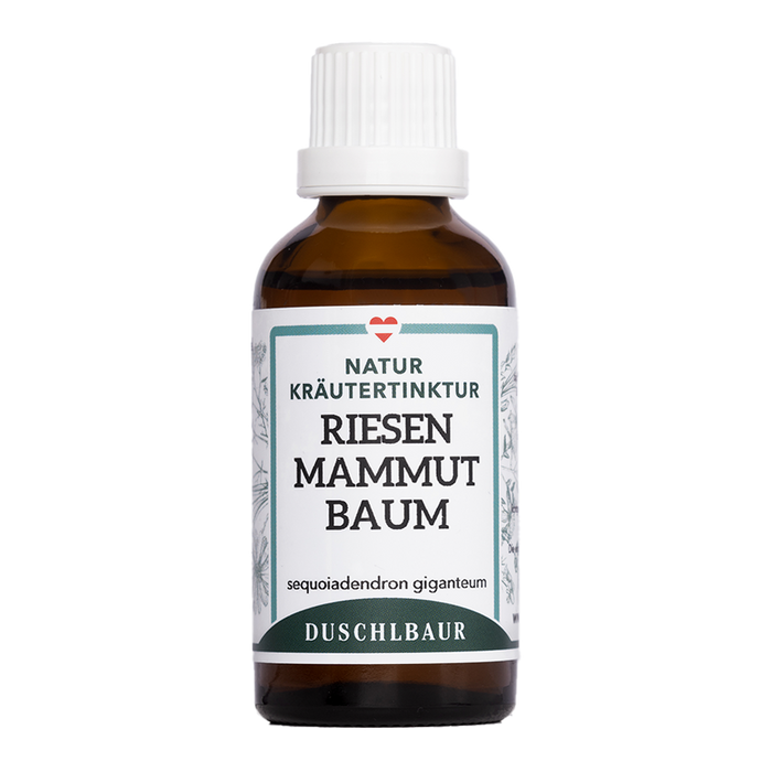 Riesenmammutbaum Tinktur - sequoiadendron giganteum