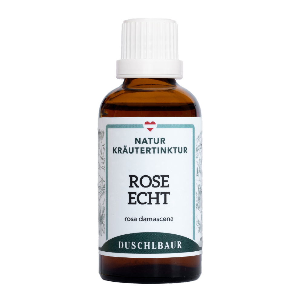 Rose echt Tinktur - rosa damascena