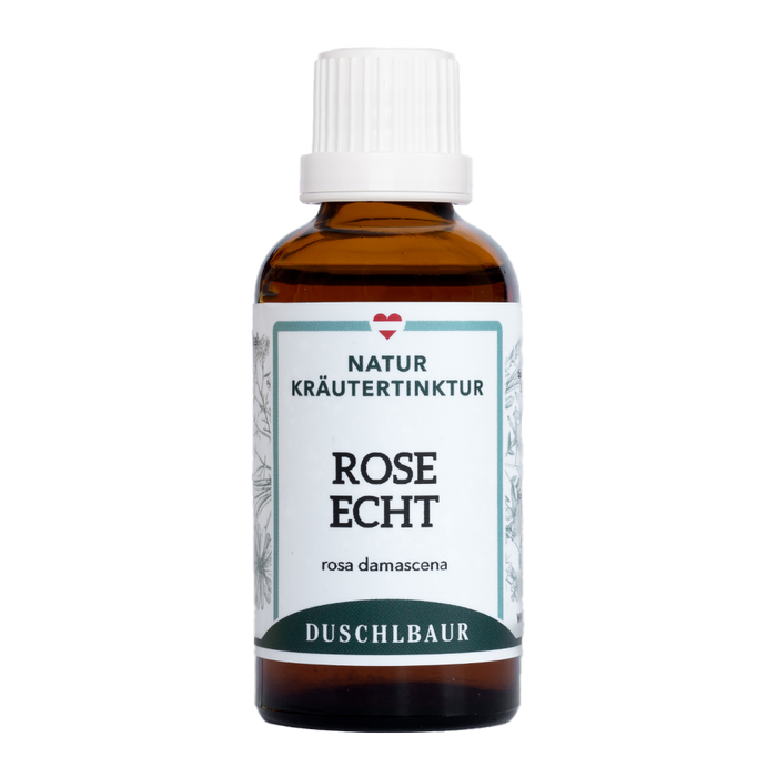Rose echt Tinktur - rosa damascena