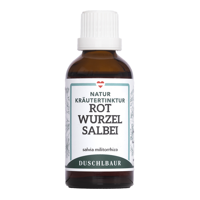 Rotwurzel Salbei Tinktur - salvia militorrhiza