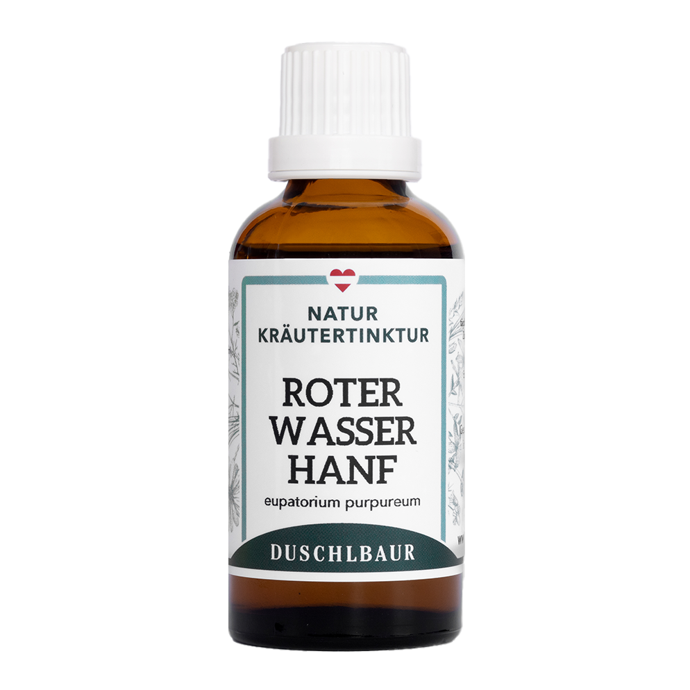 Wasserhanf Wasserdost Tinktur - eupatorium purpureum