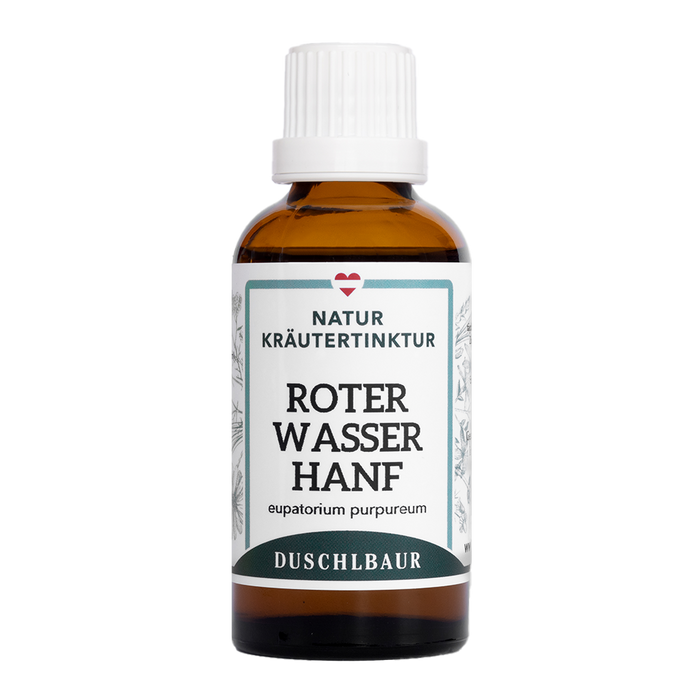 Wasserhanf Wasserdost Tinktur - eupatorium purpureum