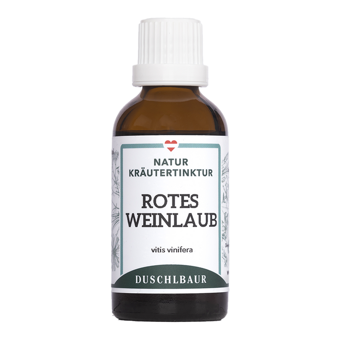 Rotes Weinlaub Tinktur - vitis vinifera