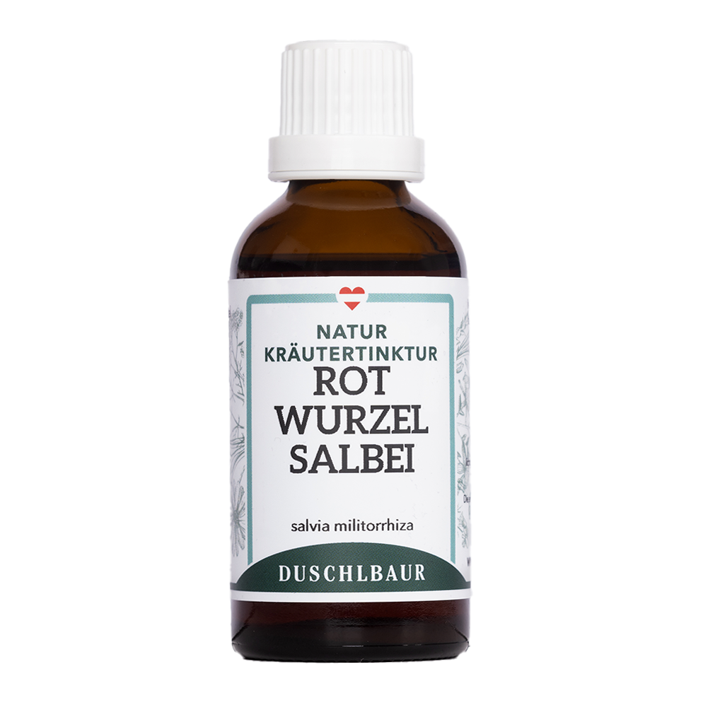 Rotwurzel Salbei Tinktur - salvia militorrhiza