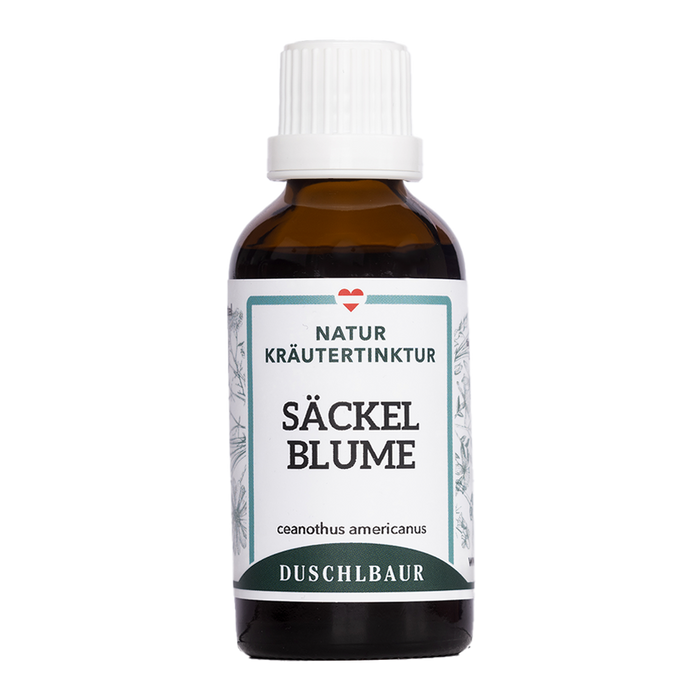 Säckelblume Tinktur - ceanothus americanus