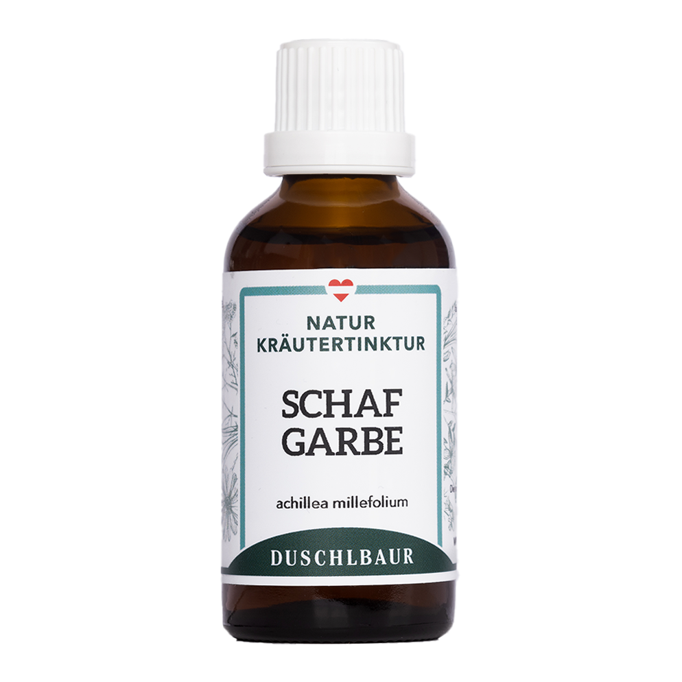 Schafgarbe Tinktur - achillea millefolium